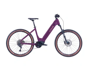 LEVIT RIVERO lowstep